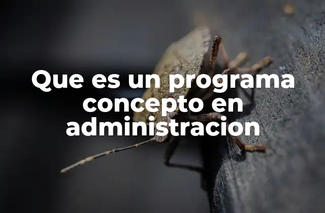 Que es un Programa Concepto en Administracion 2 El rol del programa concepto en la toma de decisiones estratégicas