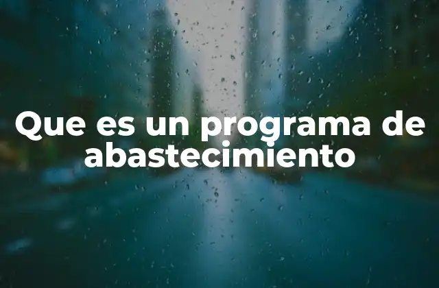 Que es un Programa de Abastecimiento