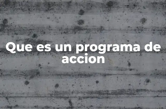Que es un Programa de Accion