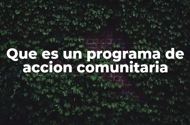 Que es un Programa de Accion Comunitaria