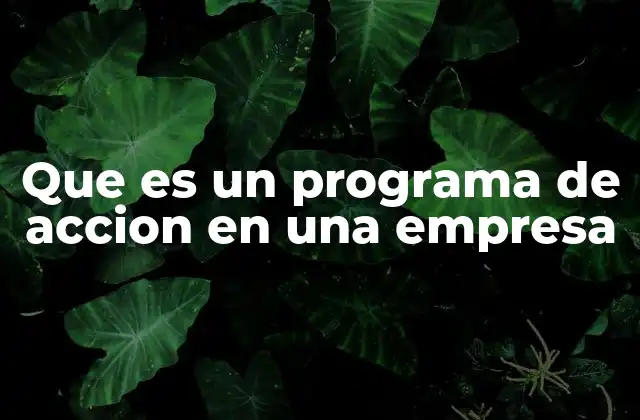 La importancia de los programas de acción en el desarrollo empresarial