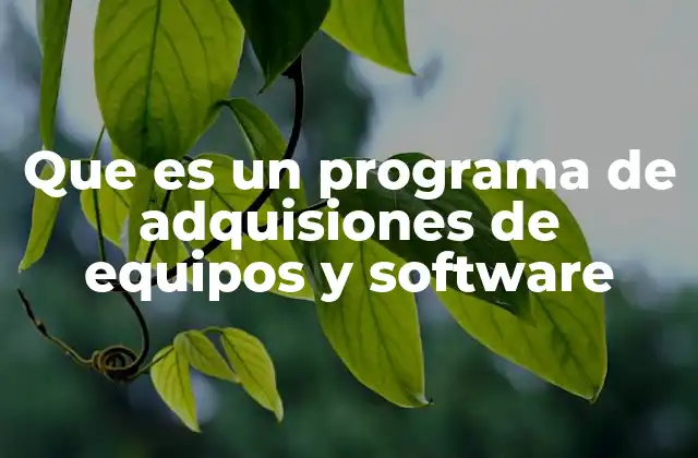 Que es un Programa de Adquisiones de Equipos y Software