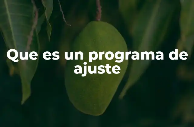 Que es un Programa de Ajuste