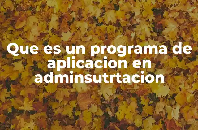 Que es un Programa de Aplicacion en Adminsutrtacion
