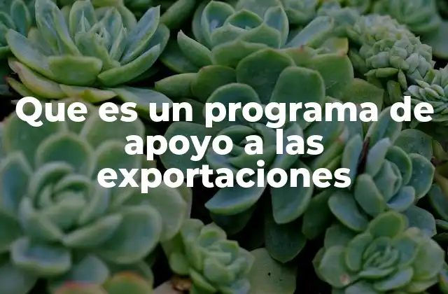 Que es un Programa de Apoyo a las Exportaciones