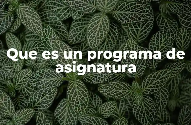 Que es un Programa de Asignatura 2 La importancia de tener un programa académico claro