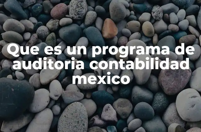 Que es un Programa de Auditoria Contabilidad Mexico