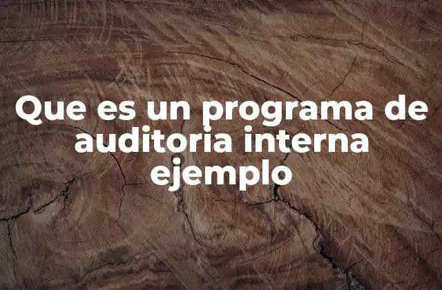 Que es un Programa de Auditoria Interna Ejemplo