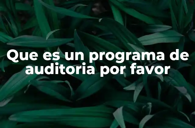 Que es un Programa de Auditoria por Favor 2 La importancia de planificar con anticipación las revisiones