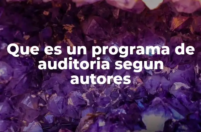 Que es un Programa de Auditoria Segun Autores