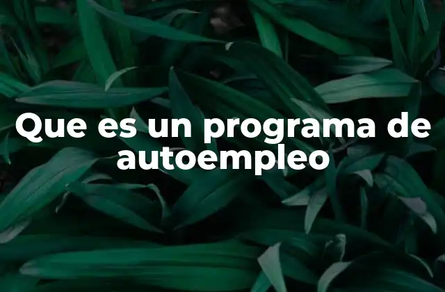 Apoyo a la economía local a través de proyectos de autoempleo