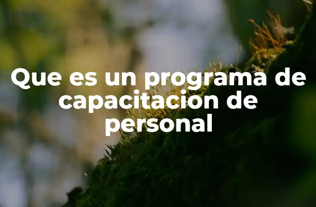 Que es un Programa de Capacitacion de Personal