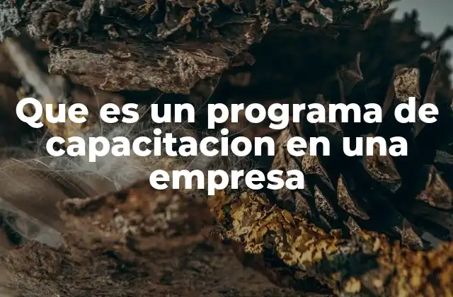 Que es un Programa de Capacitacion en una Empresa