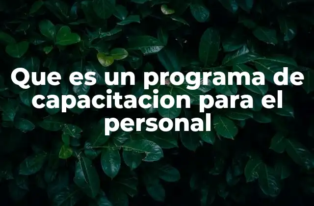 Que es un Programa de Capacitacion para el Personal