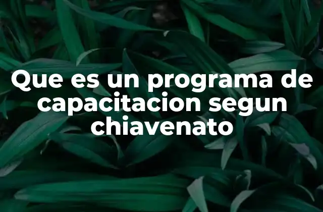 La importancia de los programas de capacitación en el desarrollo organizacional