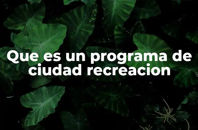 Que es un Programa de Ciudad Recreacion