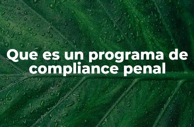Que es un Programa de Compliance Penal