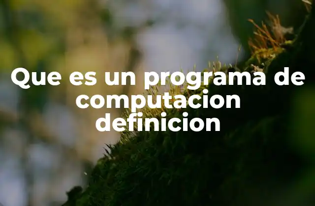 Que es un Programa de Computacion Definicion