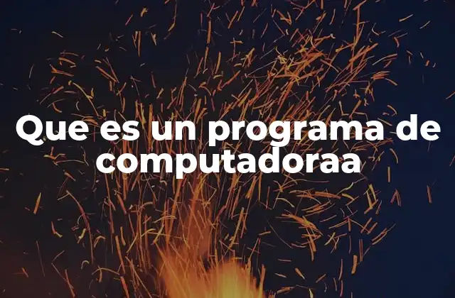 Que es un Programa de Computadoraa