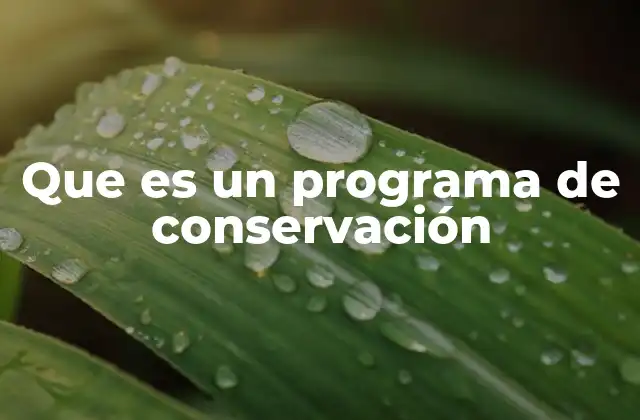 Que es un Programa de Conservación 2 La importancia de la planificación en la conservación