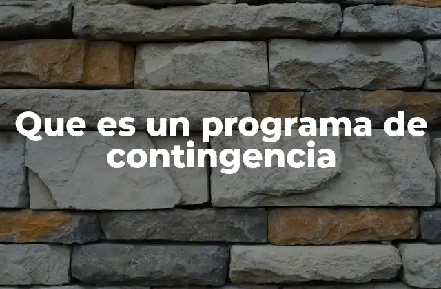Que es un Programa de Contingencia