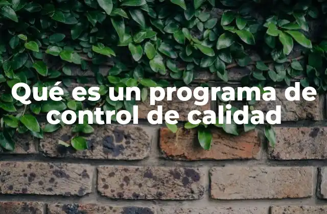 Qué es un Programa de Control de Calidad