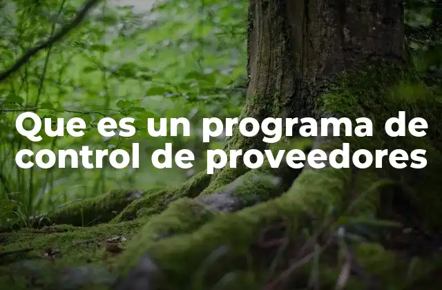 Que es un Programa de Control de Proveedores