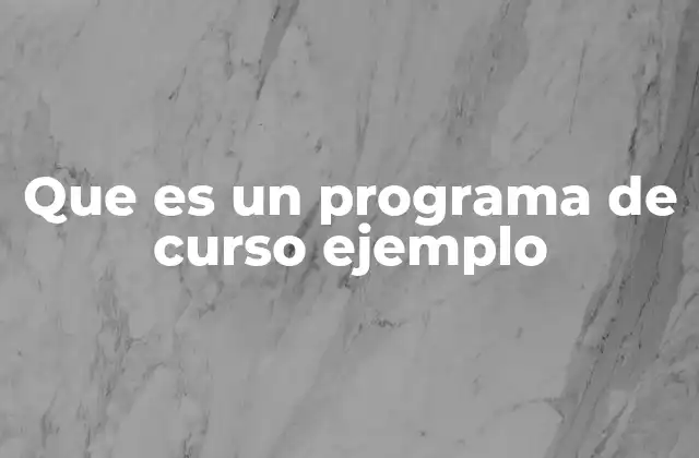 Que es un Programa de Curso Ejemplo