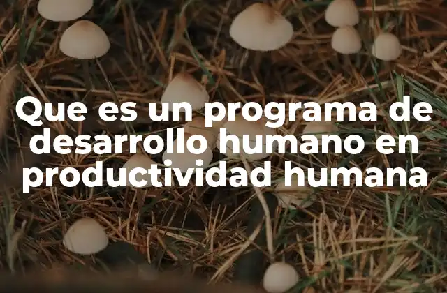 Que es un Programa de Desarrollo Humano en Productividad Humana