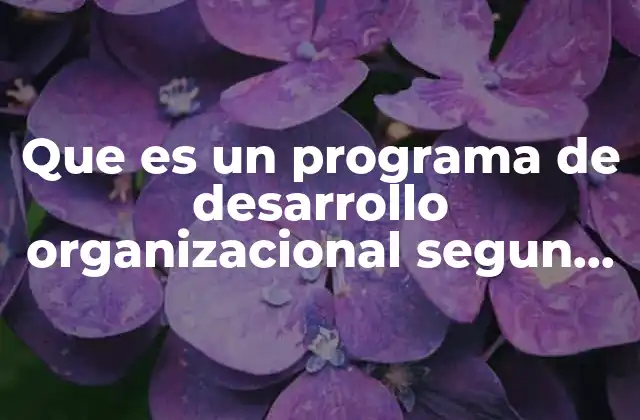 Que es un Programa de Desarrollo Organizacional Segun Gordon Lippitt