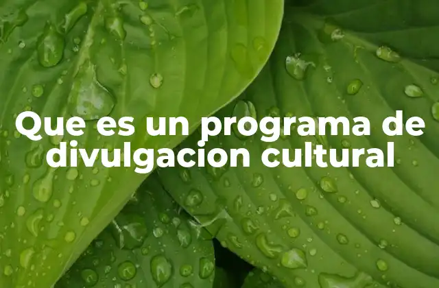 Que es un Programa de Divulgacion Cultural 2 La importancia de la cultura en el desarrollo social
