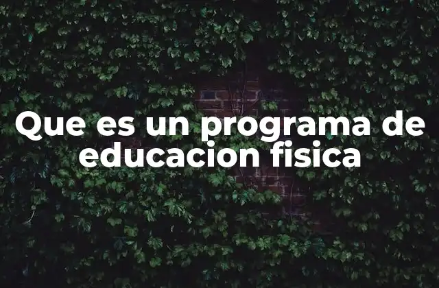 Que es un Programa de Educacion Fisica