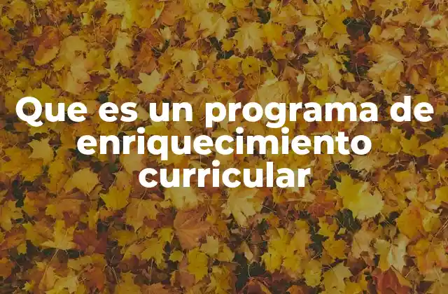 Que es un Programa de Enriquecimiento Curricular 2 La importancia del enriquecimiento en la formación estudiantil