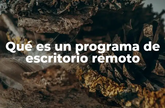 Qué es un Programa de Escritorio Remoto
