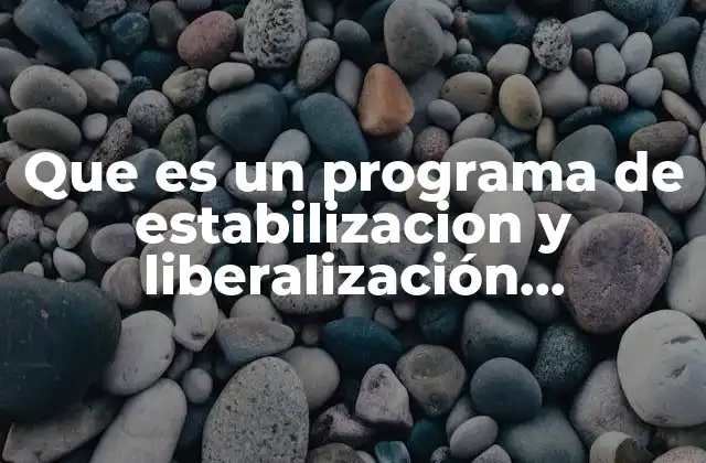 Que es un Programa de Estabilizacion y Liberalización Economica