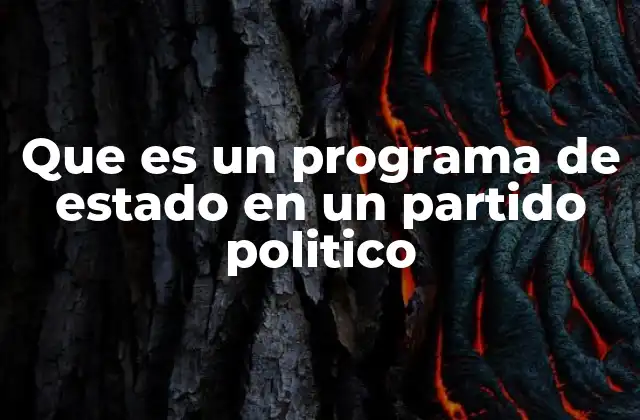 Que es un Programa de Estado en un Partido Politico