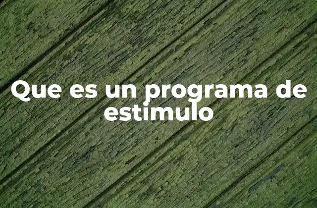Que es un Programa de Estimulo