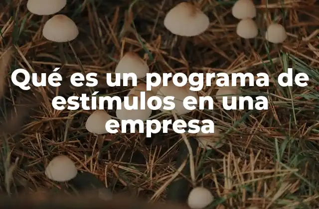Qué es un Programa de Estímulos en una Empresa