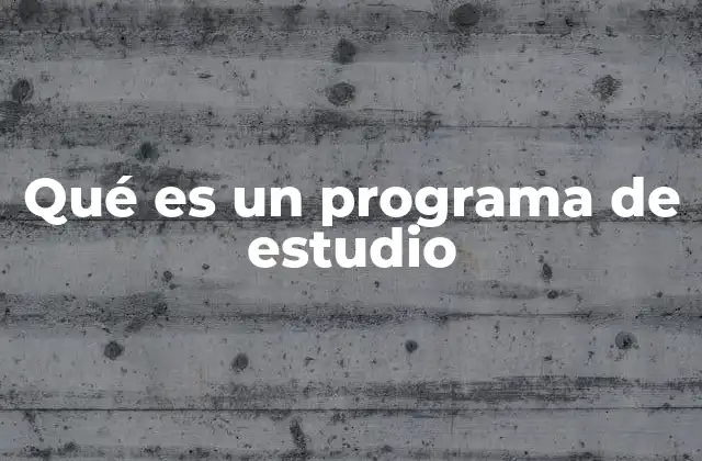 El papel del programa de estudio en la formación académica