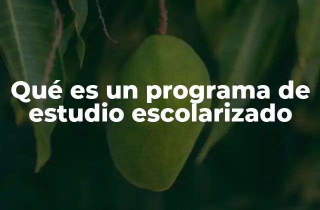 La importancia de los programas de estudio en la educación formal