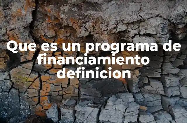 Que es un Programa de Financiamiento Definicion