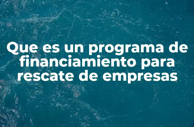 Que es un Programa de Financiamiento para Rescate de Empresas