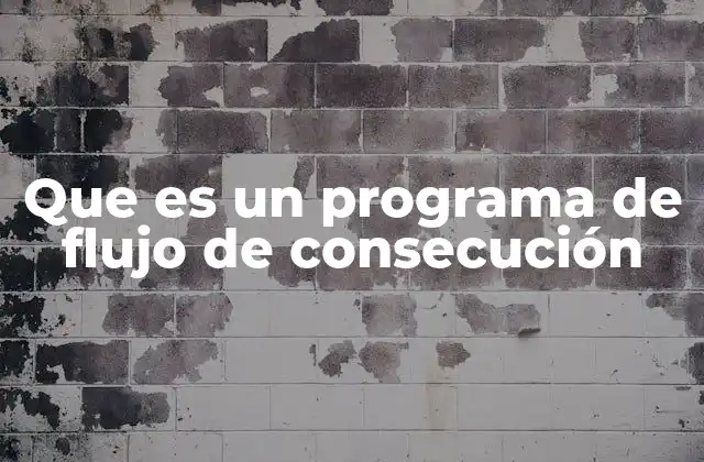 Que es un Programa de Flujo de Consecución