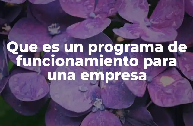 Que es un Programa de Funcionamiento para una Empresa