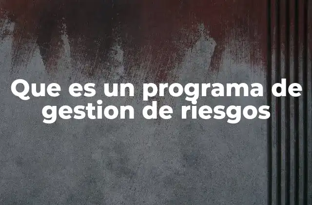 Que es un Programa de Gestion de Riesgos
