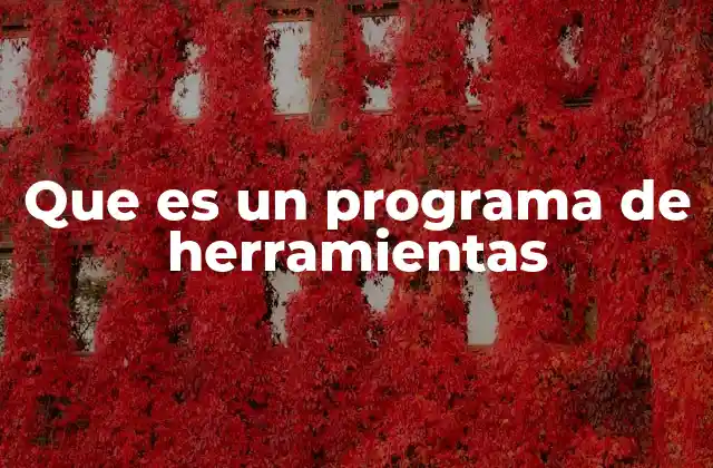 Que es un Programa de Herramientas