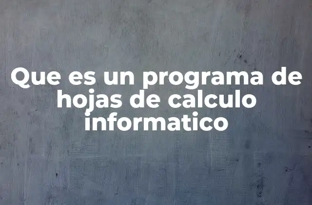 Que es un Programa de Hojas de Calculo Informatico