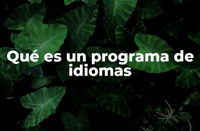 Qué es un Programa de Idiomas