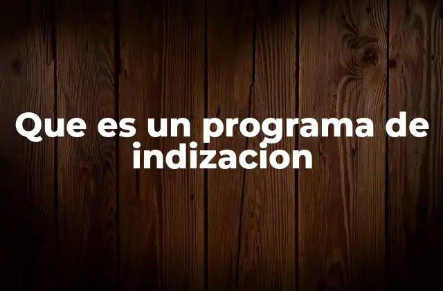 Que es un Programa de Indizacion 2 Cómo funciona un sistema de indexación