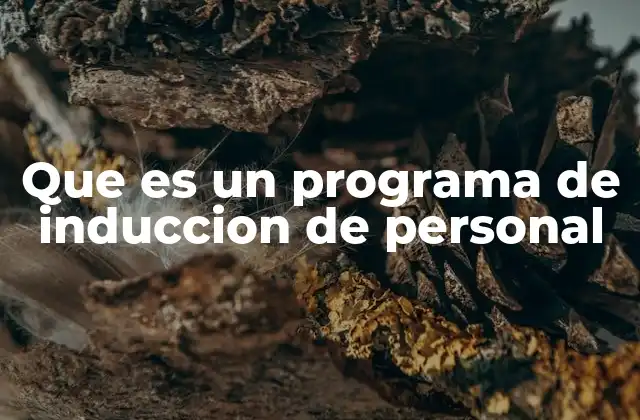 Que es un Programa de Induccion de Personal